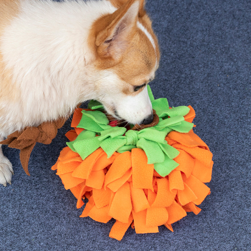 ZenPaaw Pumpkin Snuffle Ball