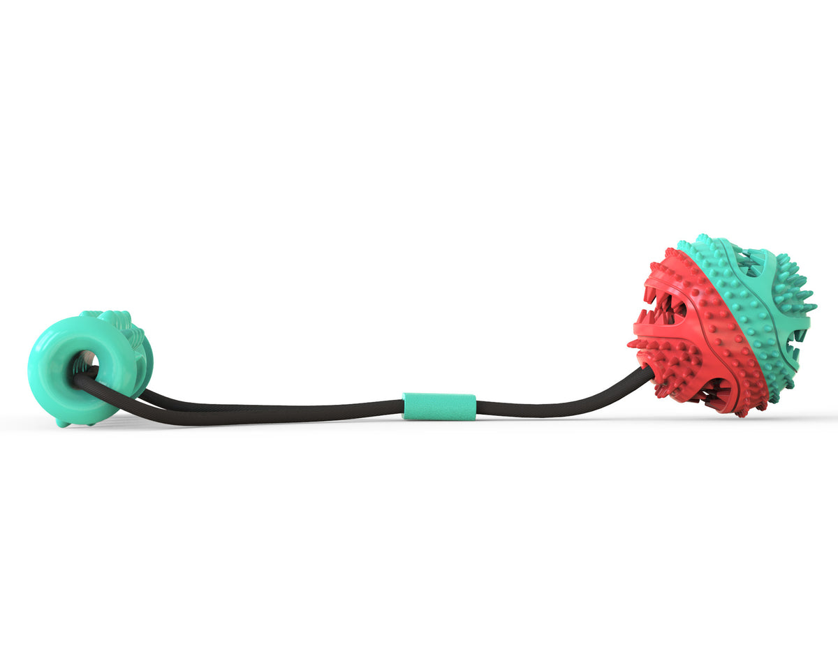 ZenPaaw Triple Play Chew, Tug & Fetch Toy