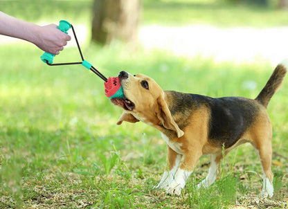 ZenPaaw Triple Play Chew, Tug & Fetch Toy