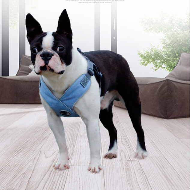 ZenPaaw First Walk Breathable Puppy Harness